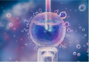 Specialized IVF software with encrypted workflows for ART clinics for patient privacy & cycle management.