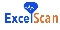 Excel Scan logo