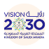 NPHIES platform advances Saudi Vision 2030 goals through healthcare digitization & interoperability.